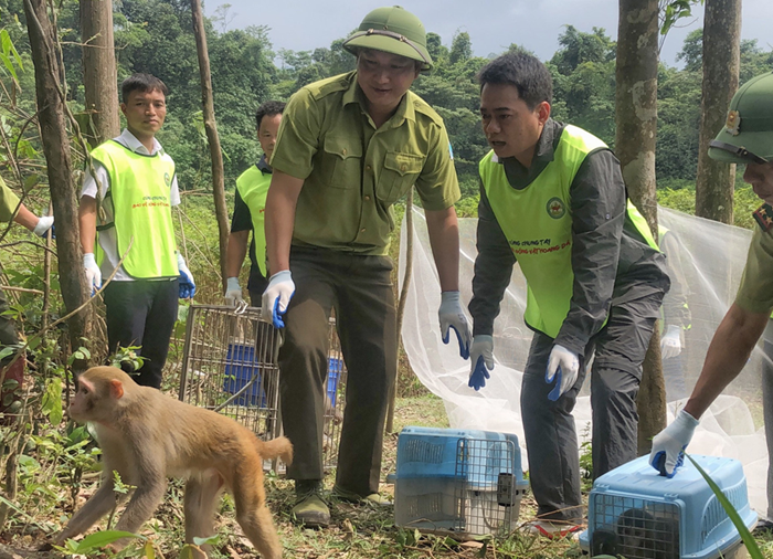 Tăng cường kiểm tra việc chấp hành quy định pháp luật về bảo vệ động vật hoang dã