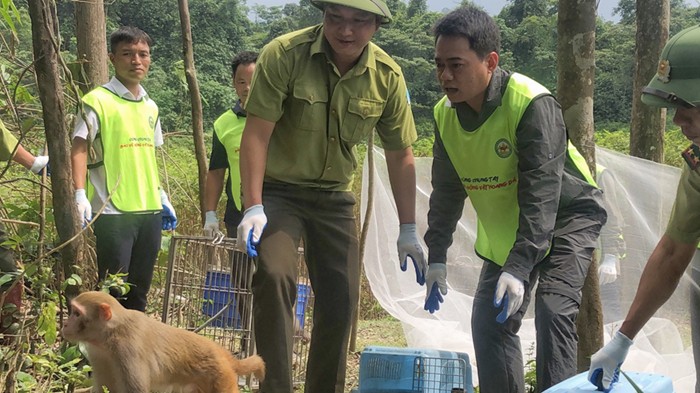 Tăng cường kiểm tra việc chấp hành quy định pháp luật về bảo vệ động vật hoang dã