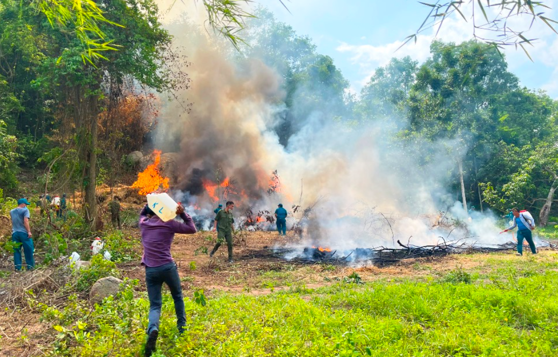 Nâng cao hiệu quả quản lý rừng An Giang