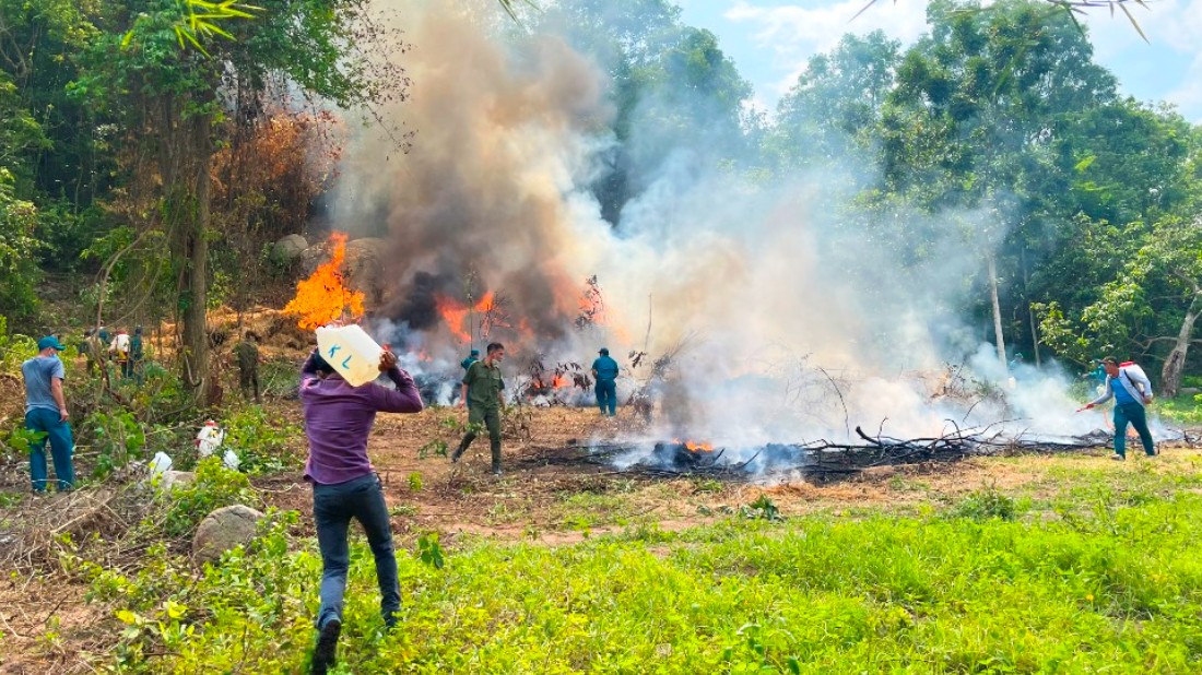 Nâng cao hiệu quả quản lý rừng An Giang