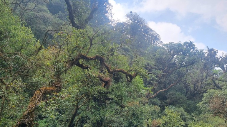 Sơn La thúc đẩy hình thành Khu dự trữ sinh quyển Mường La – Tà Xùa