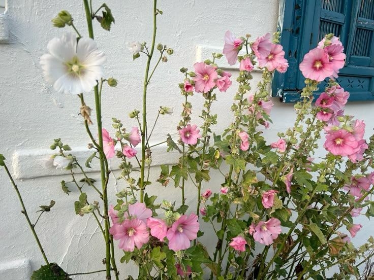 Tử vi vòng quay công nghệ ngày 29/11/2025: Tuổi Dậu thành tích khả quan, tuổi Tỵ đấu đá cạnh tranh