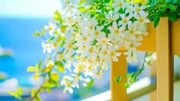 Tử vi vòng quay công nghệ ngày 1/12/2025: Tuổi Mão hôm nay tốt đẹp, tuổi Tỵ vận may về tiền bạc