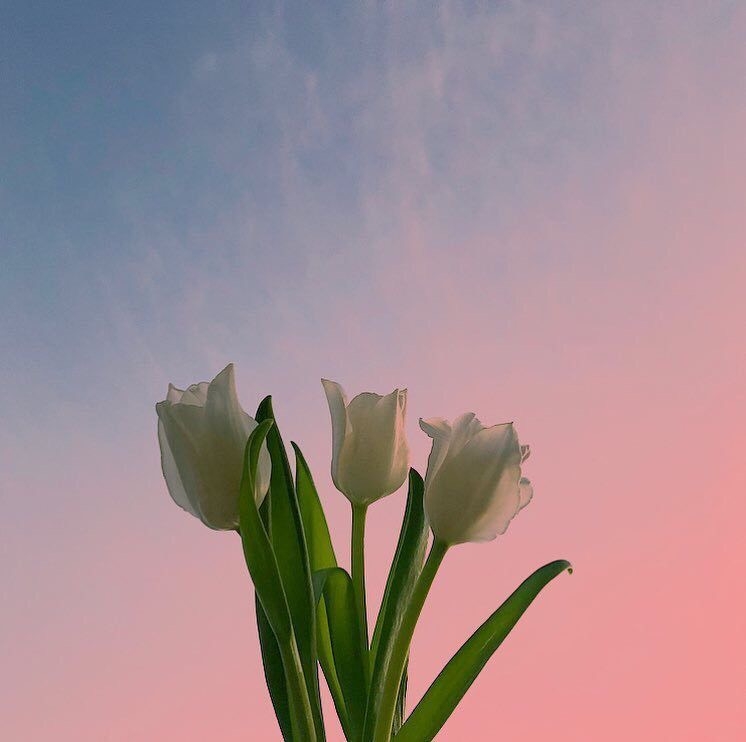 Tử vi vòng quay công nghệ ngày 1/12/2024: Tuổi Tuất tâm trạng căng thẳng, tuổi Dần vận may tài lộc