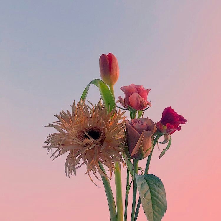 Tử vi vòng quay công nghệ ngày 1/12/2024: Tuổi Tuất tâm trạng căng thẳng, tuổi Dần vận may tài lộc