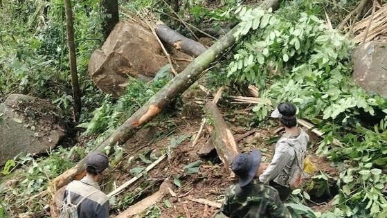 Quảng Nam chủ động ứng phó với động đất, thiên tai trong thời gian tới