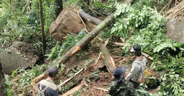 Quảng Nam chủ động ứng phó với động đất, thiên tai trong thời gian tới Quảng Nam chủ động ứng phó với động đất, thiên tai trong thời gian tới