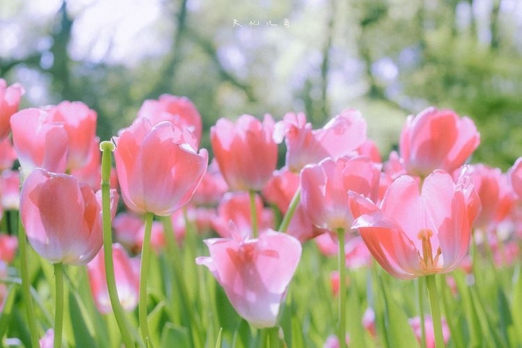 Tử vi vòng quay công nghệ ngày 15/12/2024: