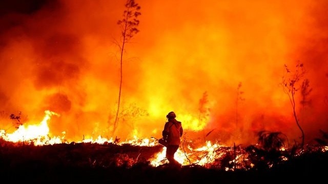 Hanh khô kéo dài, cảnh báo cháy rừng ở nhiều khu vực