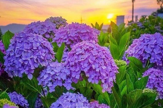 Tử vi vòng quay công nghệ ngày 21/12/2024: