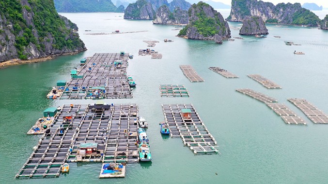 Chính sách về bảo vệ môi trường trong phát triển bền vững kinh tế biển, kinh tế tuần hoàn