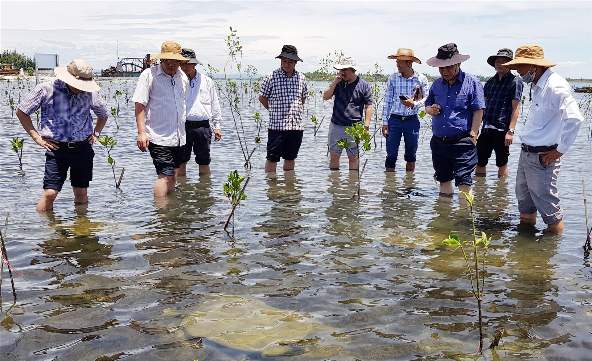 An Giang siết chặt quản lý rừng phòng hộ ven biển