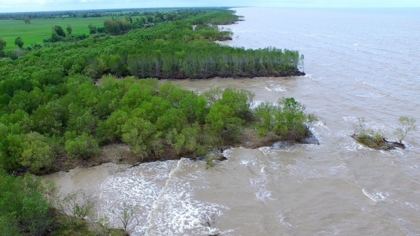 An Giang siết chặt quản lý rừng phòng hộ ven biển