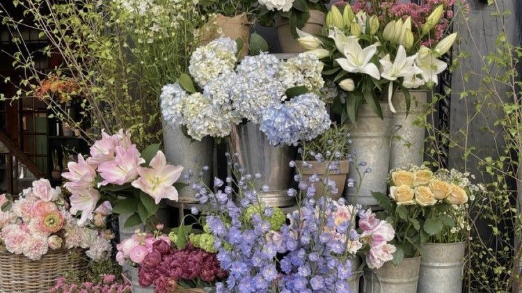 Tử vi vòng quay công nghệ ngày 7/12/2025: Tuổi Dậu tình cảm rắc rối, tuổi Tuất bớt áp lực