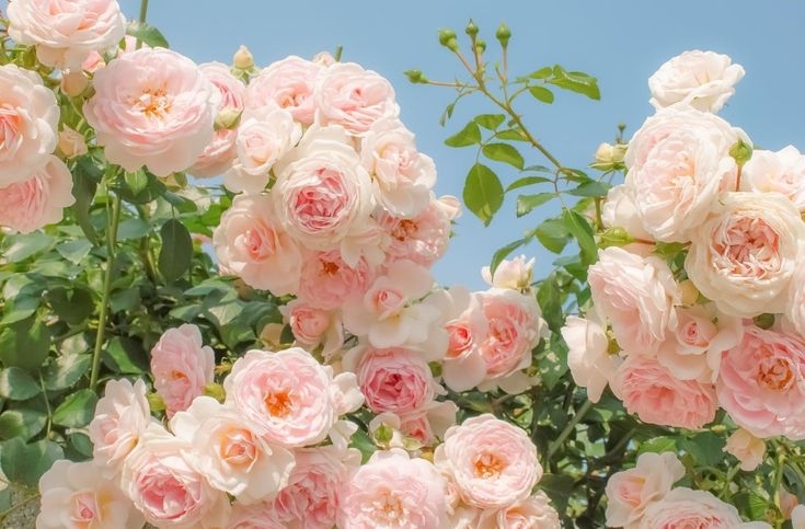 Tử vi vòng quay công nghệ ngày 9/12/2025: Tuổi Thân dễ gặp rắc rối, tuổi Tý phát triển thuận lợi Tử vi vòng quay công nghệ ngày 9/12/2025: Tuổi Thân dễ gặp rắc rối, tuổi Tý phát triển thuận lợi