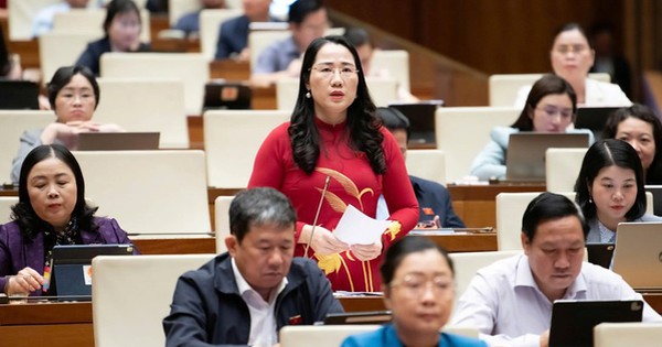 Đại biểu Quốc hội đề nghị tấn công mạnh tội phạm công nghệ cao, hàng giả, thực phẩm bẩn