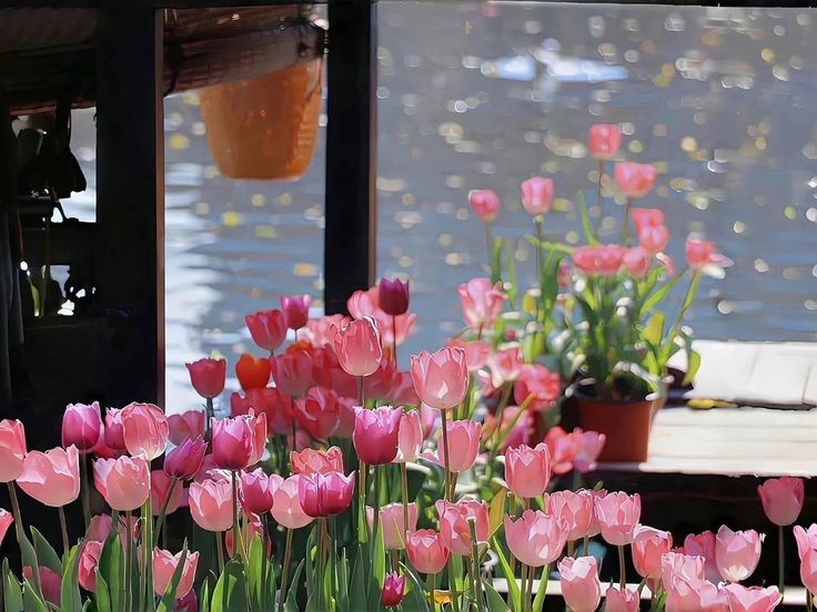 Tử vi vòng quay công nghệ ngày 11/12/2025: Tuổi Hợi cực kỳ đào hoa, tuổi Ngọ nhiều công việc khó