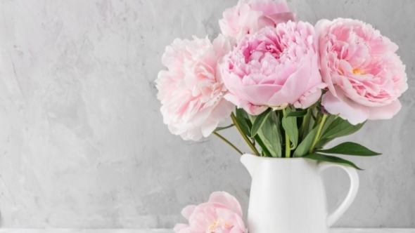 Tử vi vòng quay công nghệ ngày 14/12/2025: Tuổi Dậu tiến triển khá rõ, tuổi Tuất xảy ra tranh cãi