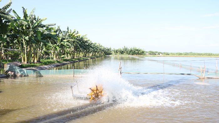 Hà Nội kiểm soát nguy cơ ô nhiễm trong nuôi trồng thủy sản