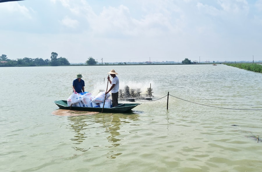 Hà Nội kiểm soát nguy cơ ô nhiễm trong nuôi trồng thủy sản