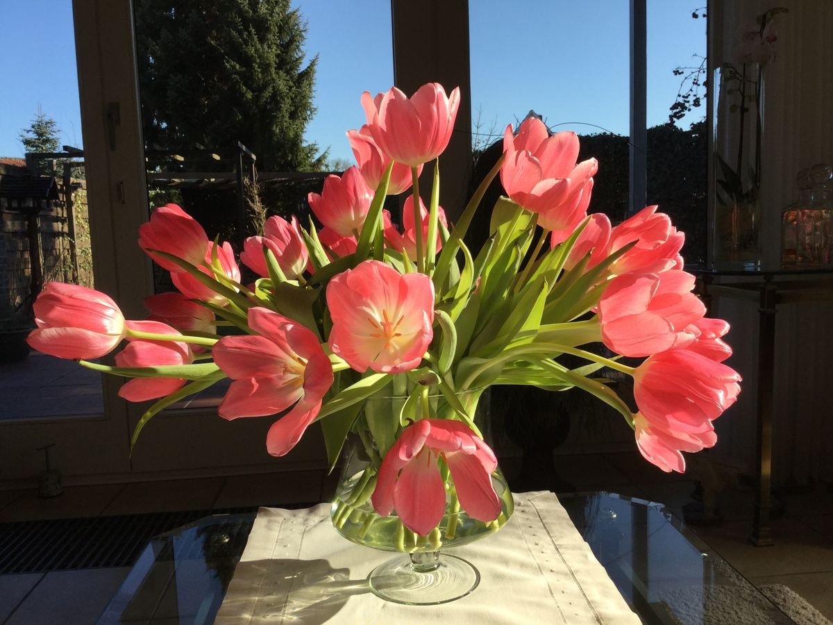 Tử vi vòng quay công nghệ ngày 23/12/2025: Tuổi Tý trở nên nóng nảy, tuổi Thân vượng đào hoa