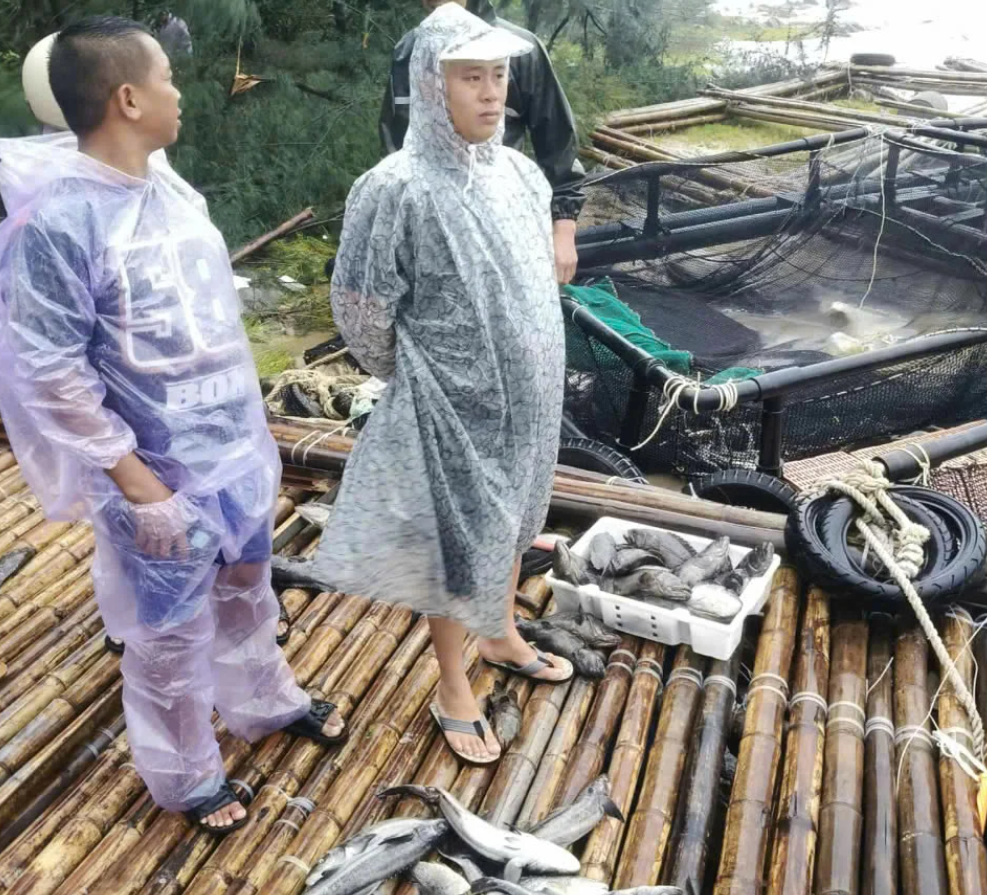 Triển khai đồng bộ giải pháp thích ứng môi trường trong nuôi trồng thuỷ sản