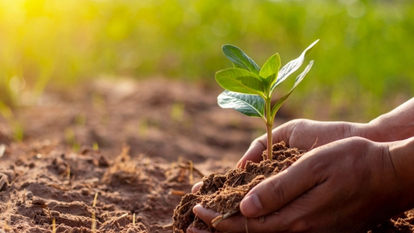 Hết thời "ăn theo giá", ngành phân bón tìm lực tăng trưởng mới