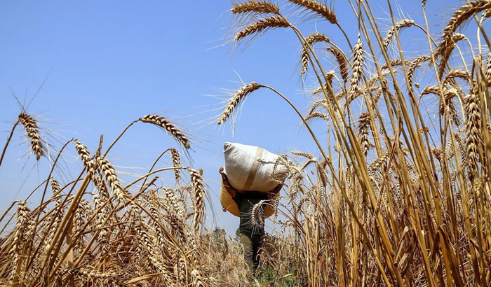 ‘Chuyển từ canh tác mang tính khai thác sang nông nghiệp tái tạo’
