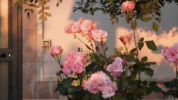 Tử vi vòng quay công nghệ ngày 26/12/2025: Tuổi Thìn vướng họa thị phi, tuổi Ngọ nhiều may mắn hơn Tử vi vòng quay công nghệ ngày 26/12/2025: Tuổi Thìn vướng họa thị phi, tuổi Ngọ nhiều may mắn hơn