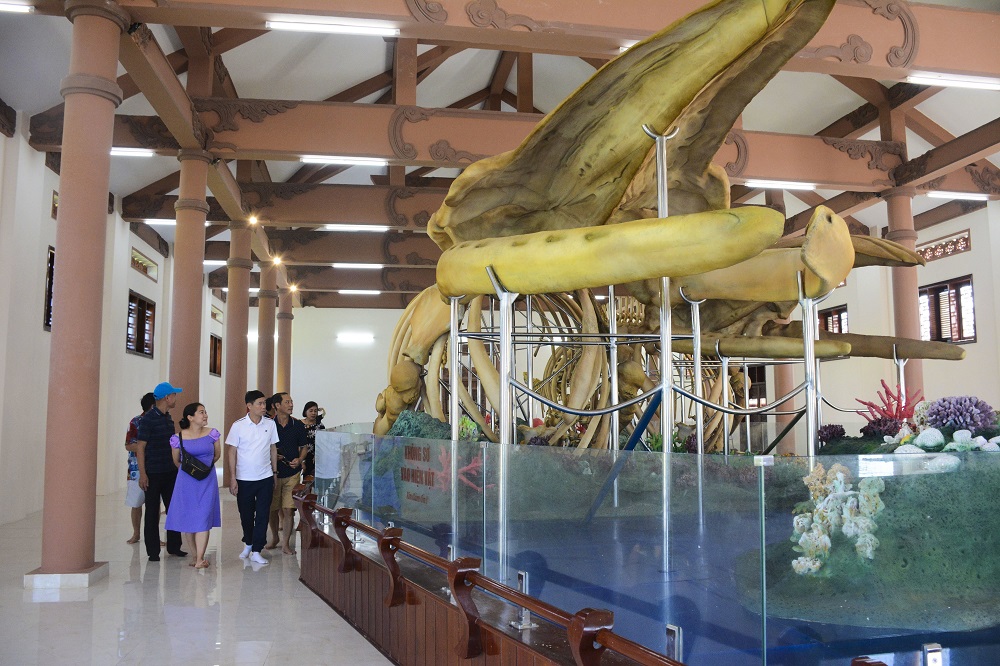 Hoàn thiện hạ tầng đưa Lý Sơn trở thành Khu du lịch quốc gia