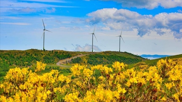 Thổ Nhĩ Kỳ hình thành chiến lược chuyển đổi năng lượng sạch để giảm sự phụ thuộc vào khí đốt nhập khẩu