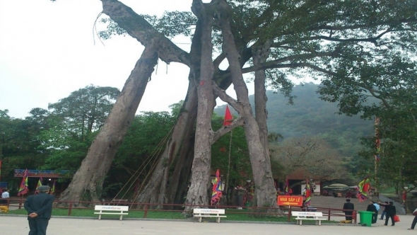 Danh thắng Tây Thiên