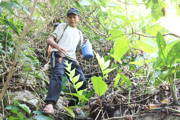 Đồng Nai: Tìm mạch nước ngọt trên đỉnh núi Chứa Chan Đồng Nai: Tìm mạch nước ngọt trên đỉnh núi Chứa Chan
