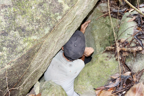 Đồng Nai: Tìm mạch nước ngọt trên đỉnh núi Chứa Chan Đồng Nai: Tìm mạch nước ngọt trên đỉnh núi Chứa Chan
