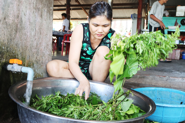 Đồng Nai: Tìm mạch nước ngọt trên đỉnh núi Chứa Chan Đồng Nai: Tìm mạch nước ngọt trên đỉnh núi Chứa Chan