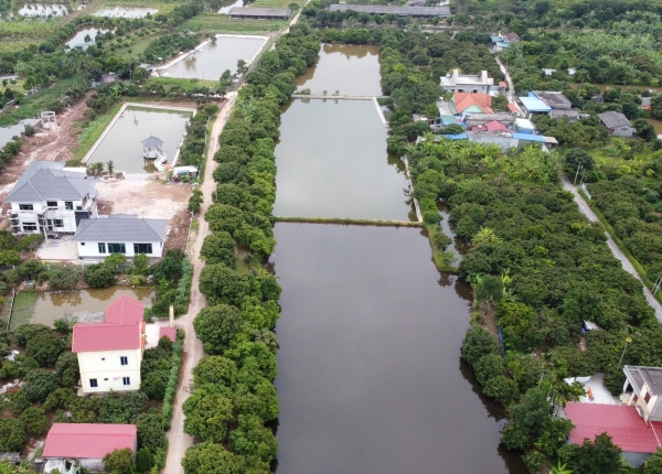 Hải Phòng: Đề nghị công an vào cuộc điều tra nhiều biệt thự "mọc" trái phép trên đất nông trường Quý Cao Hải Phòng: Đề nghị công an vào cuộc điều tra nhiều biệt thự "mọc" trái phép trên đất nông trường Quý Cao