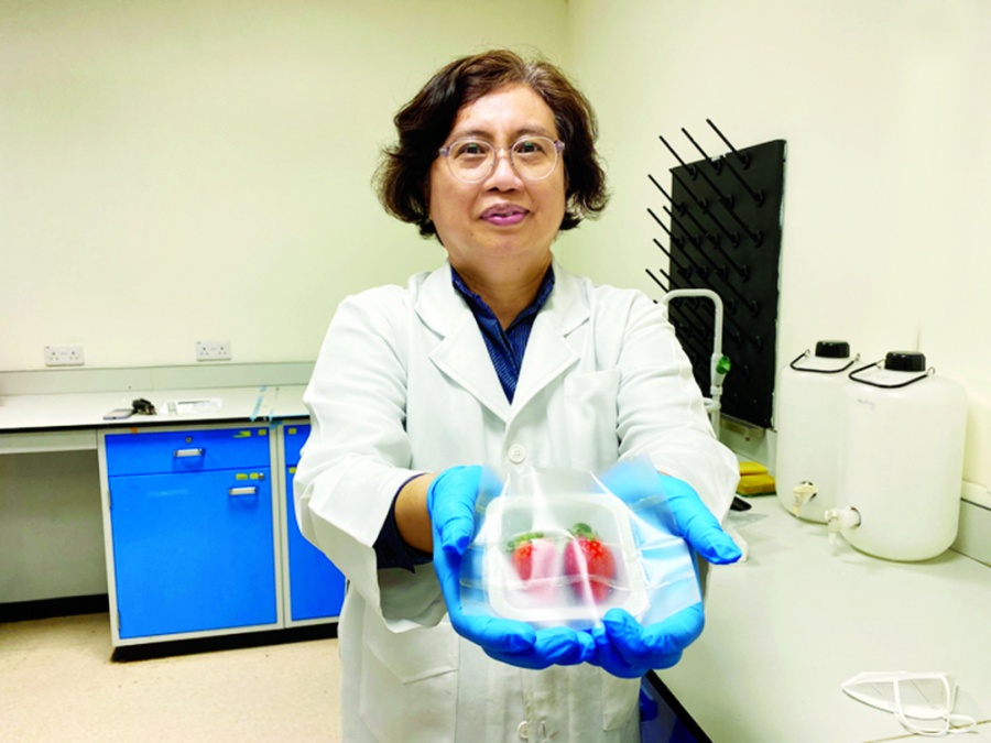 Khi nhựa dùng một lần trở thành kẻ thù của thế giới