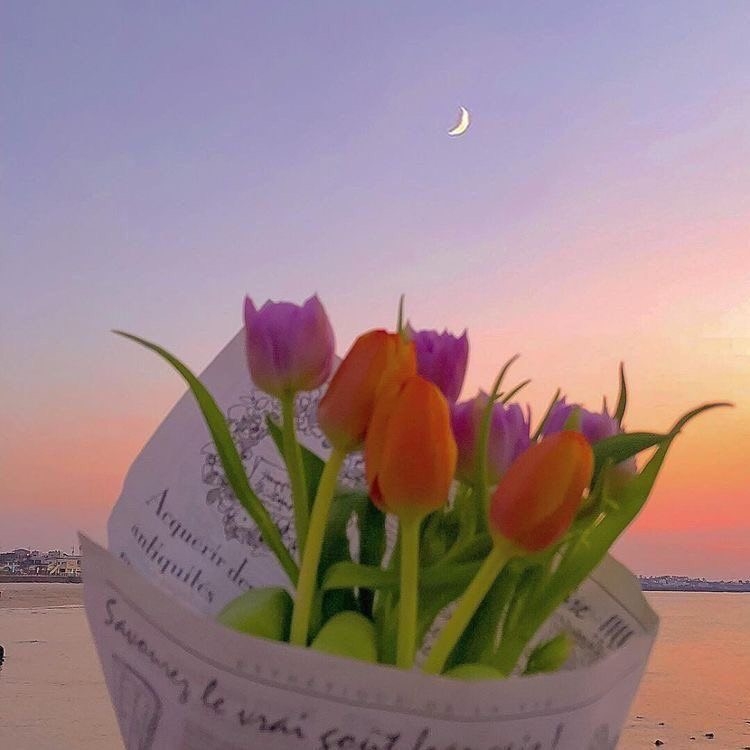 Tử vi 12 con giáp ngày 28/5/2022: Tuổi Sửu nhiều biến cố, tuổi Mão gặt hái thành công