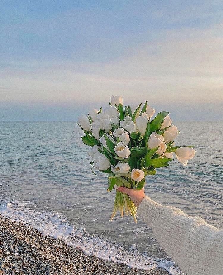 Tử vi 12 con giáp ngày 28/5/2022: Tuổi Sửu nhiều biến cố, tuổi Mão gặt hái thành công