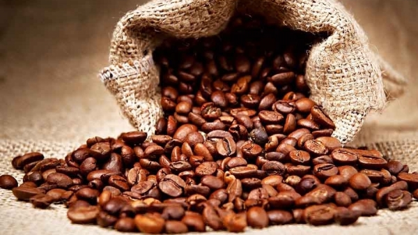 Giá cà phê hôm nay 29/5: Điều chỉnh tăng nhẹ