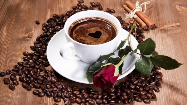 Giá cà phê hôm nay 6/7: Giảm 100 đồng/kg tại các địa phương thu mua trọng điểm