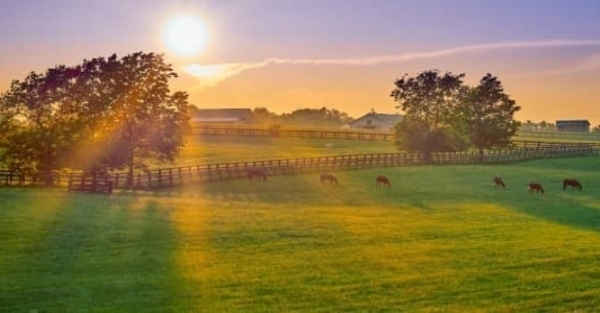 Các quy tắc mới của ESG đang gây tổn hại cho nông dân Mỹ Các quy tắc mới của ESG đang gây tổn hại cho nông dân Mỹ