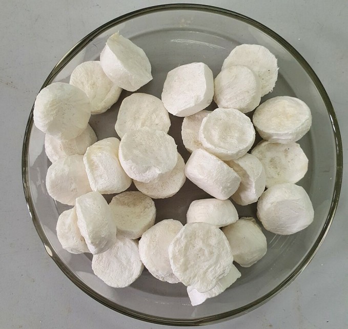 Sinh viên Đại học Bách khoa thành công biến vỏ sầu riêng thành vật liệu thu hồi dầu tràn Sinh viên Đại học Bách khoa thành công biến vỏ sầu riêng thành vật liệu thu hồi dầu tràn