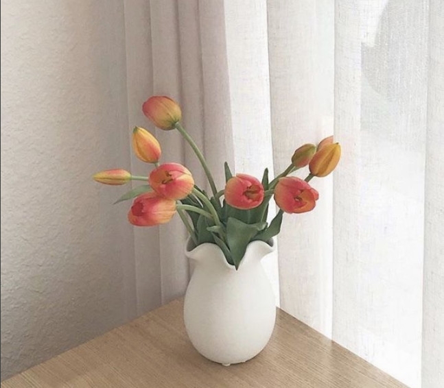 Tử vi 12 con giáp ngày 14/7/2022: Tuổi Tý nhiều cơ hội, tuổi Thìn họa hao tài xuất hiện