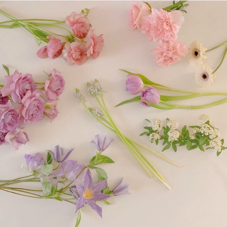 Tử vi 12 con giáp ngày 15/7/2022: Tuổi Dần tài lộc dồi dào, tuổi Tỵ tiểu nhân đeo bám