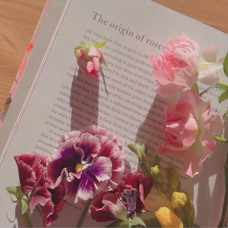 Tử vi 12 con giáp ngày 15/7/2022: Tuổi Dần tài lộc dồi dào, tuổi Tỵ tiểu nhân đeo bám