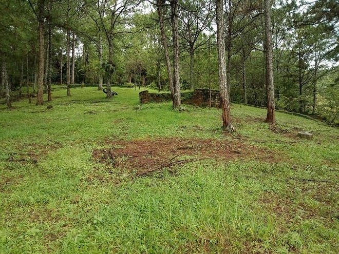 Tin bất động sản ngày 21/7: Rà soát, điều chỉnh đề xuất dự án cây dược liệu của Địa ốc Phú Đông