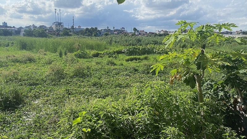 Dự án HP Elite Center Hải Phòng rao bán rầm rộ khi vẫn còn là bãi đất hoang?